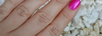 Scriptor Пикси - один из самых любимых ярких розовых в моей коллекции
