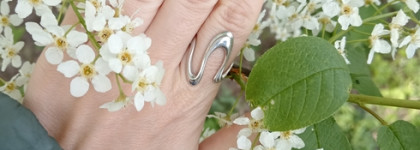 Летний голубой шиммер Scriptor Банши