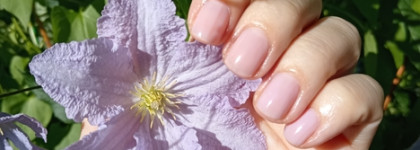 Новый хит? Умная эмаль Frenchi Моментальный укрепитель. Сравнение с Железным укрепителем и не только