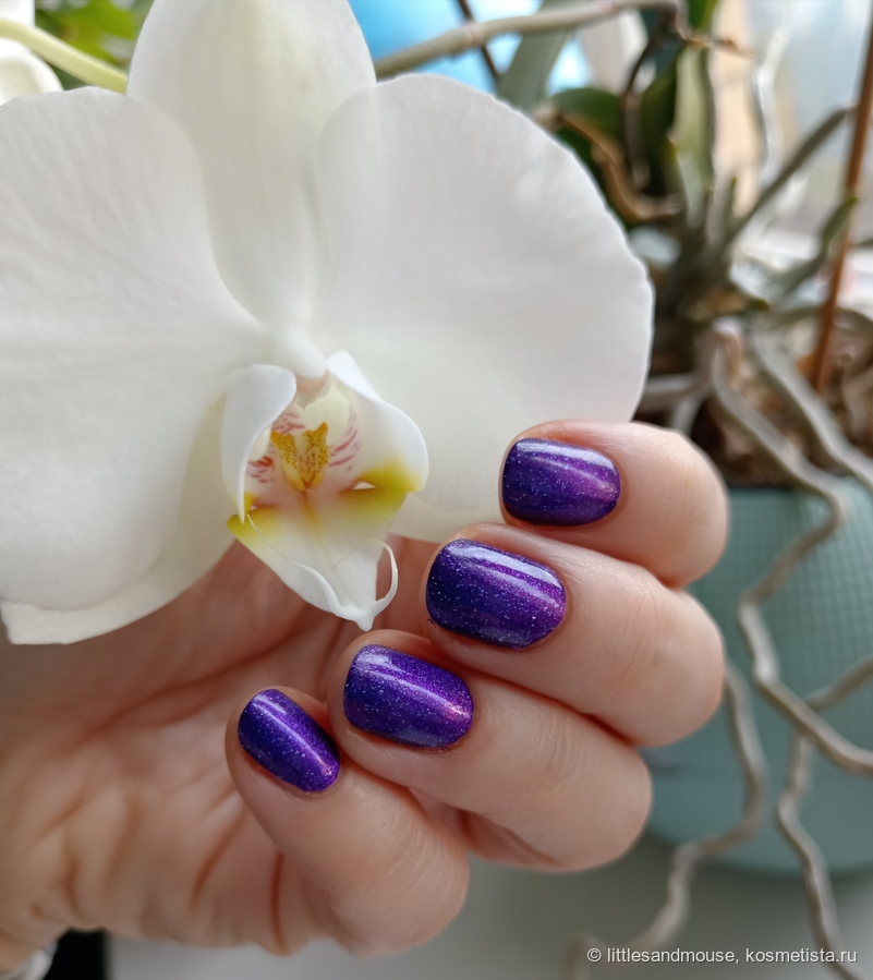 Виден шиммер