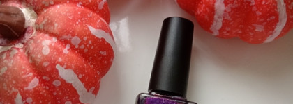 Scale Lacquer Ковен озера Шамплейн - космос на руках