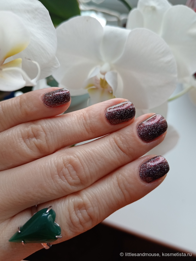 Красивый и послушный, что ещё для счастья надо