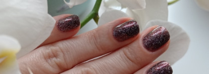 Идеальный вампирский: Obstante Count Dracula