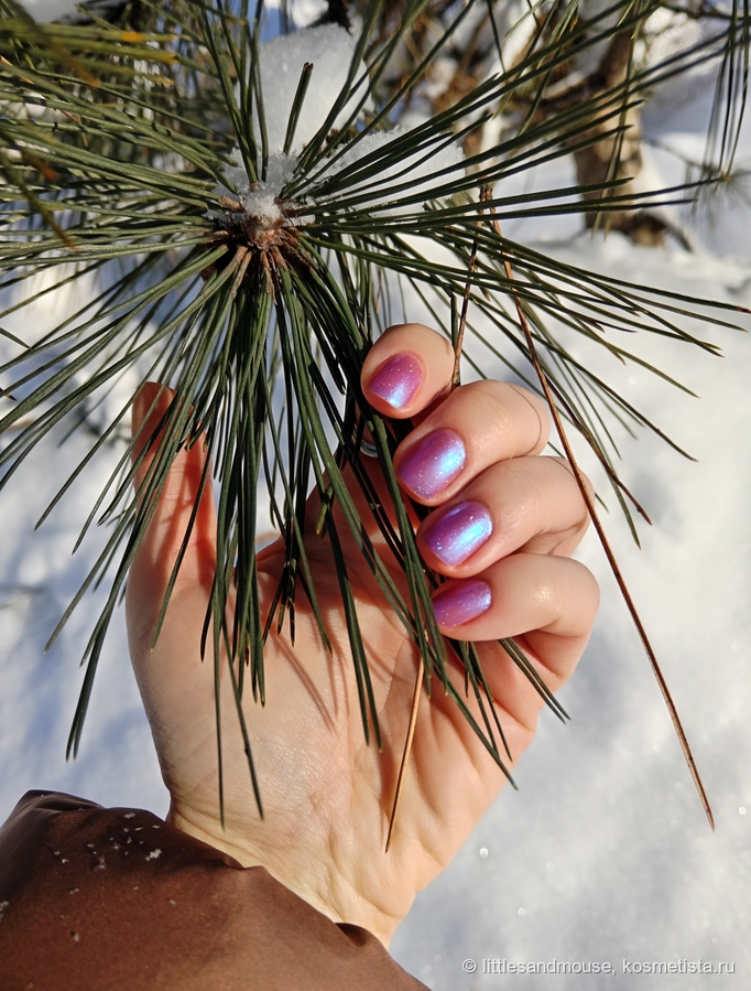 Яркое зимнее солнце, лак теплеет, светлеет и начинка играет на солнышке