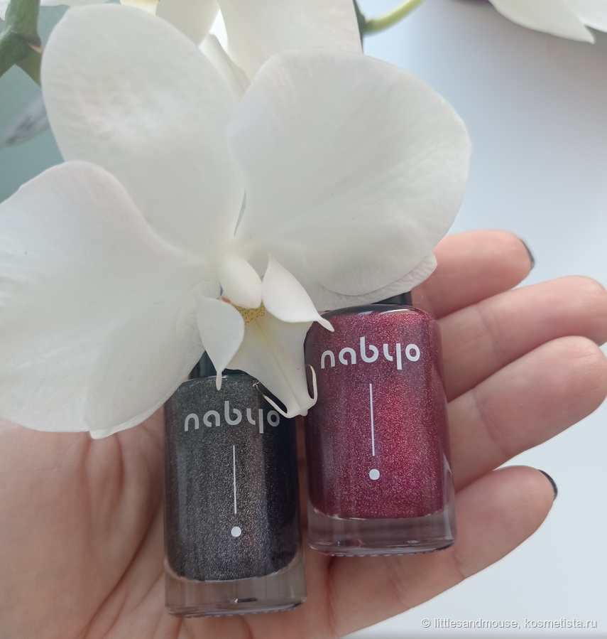 голографики