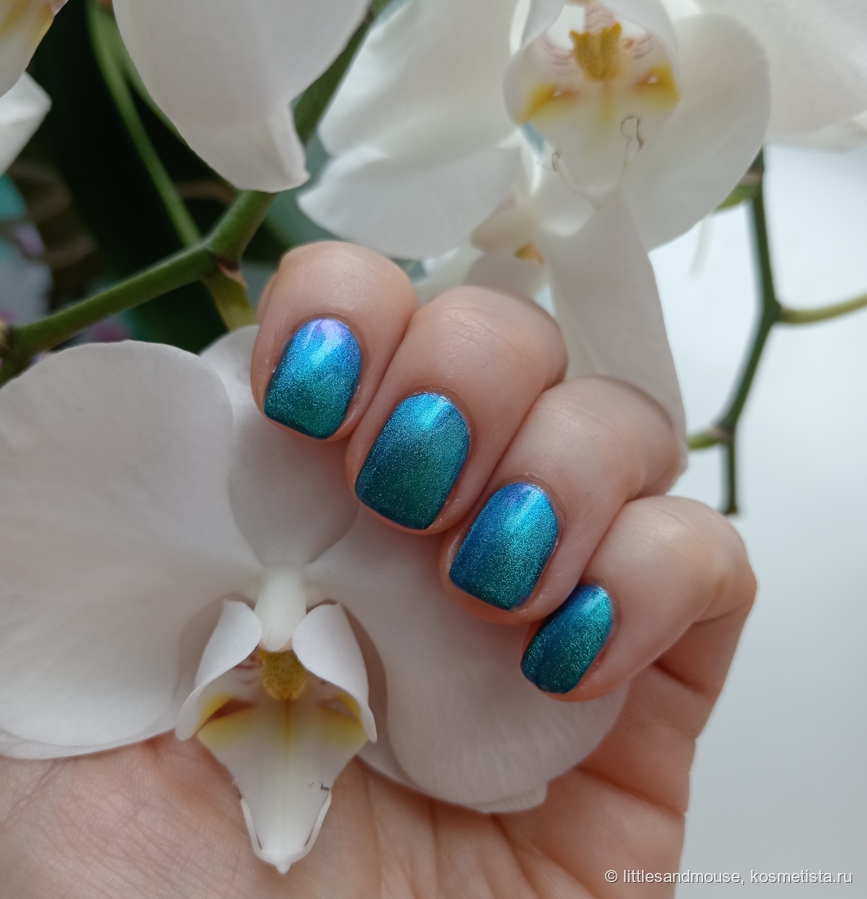 Дневной свет у окна