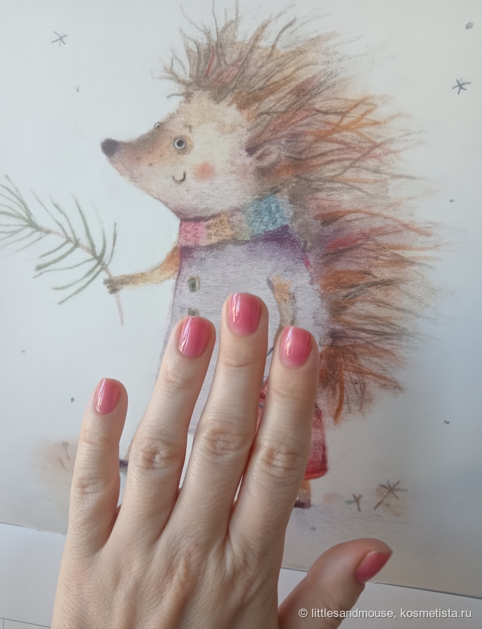 Дневной свет