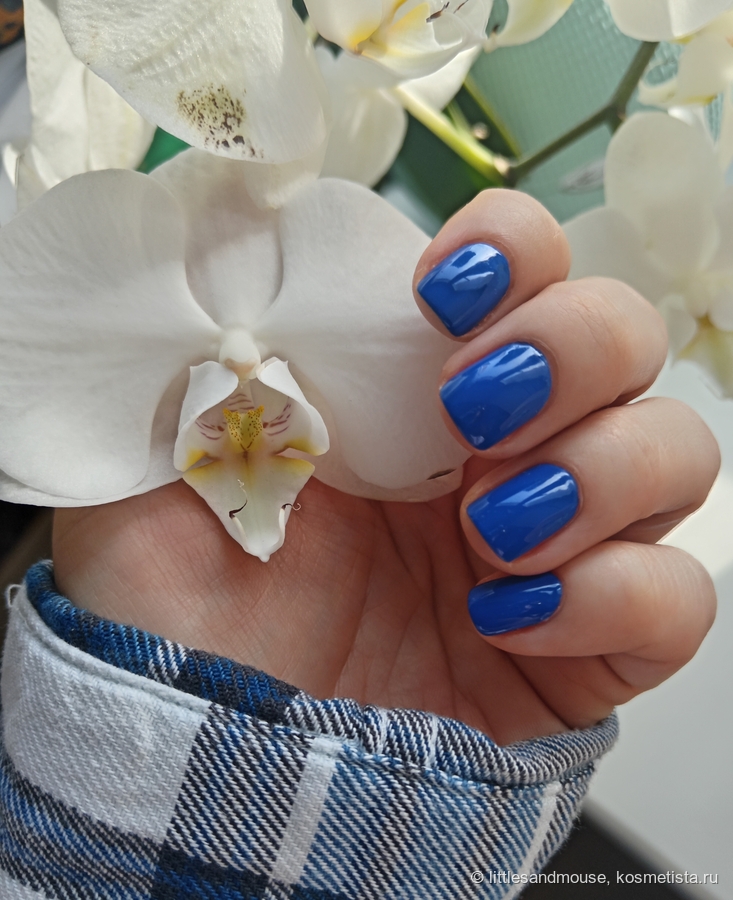 Дневной свет у окна