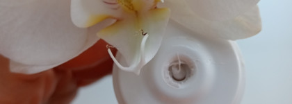 Очищающая маска Гельтек Маска поросуживающая Sebobalance и чувствительная кожа