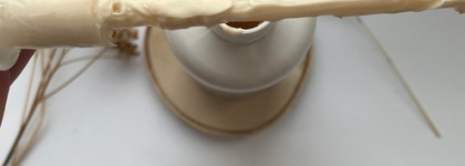 Ваше сиятельство: молочко для тела Sesderma C-VIT с сияющими пигментами C-VIT Radiance Glowing body milk