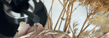 Ароматная роза, спокойный уд и шоколадные оттенки, атмосферный аромат на будущий сезон: Jo Malone Diffuser Velvet Rose & Oud