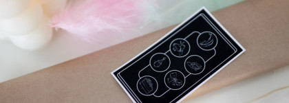 Палитра теней Tammy Tanuka Sigil Inspired Принц Лебедь