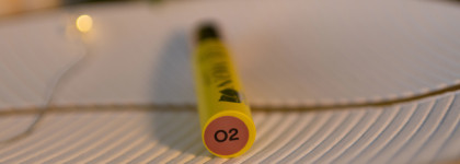 Новинка на рынке: помада-бальзам для губ Vivienne Sabo Lemon Citron Colored Lip Balm в оттенке 02