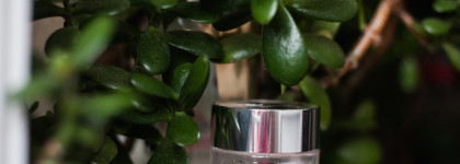 Как случайная покупка превращается в любовь: Clinique Moisture Surge 72-hour Auto-Replenishing Hydrator