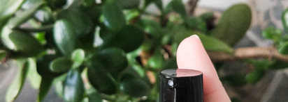 Война Роз: знакомство с косметикой Innature