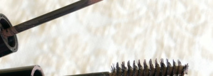 Мои брови с Vivienne Sabo