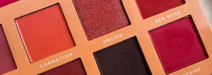 (Не)Остаться незамеченной с палеткой Blossom Passion Eyeshadow Palette от Ace Beaute + сравнение с сестрой по бренду Scarlet Dusk