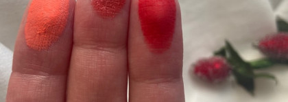 (Не)Остаться незамеченной с палеткой Blossom Passion Eyeshadow Palette от Ace Beaute + сравнение с сестрой по бренду Scarlet Dusk