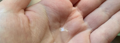 Мой уход сезона: две сыворотки и крем для глаз от корейского бренда Esfolio