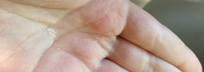 Любимый тонер для лица с экстрактом авокадо Pure Avocado от бренда Esfolio