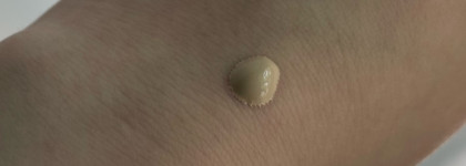 Хороший тональный крем с одним большим минусом- Velvet Cover Foundation в оттенке 101 cotton от Shik