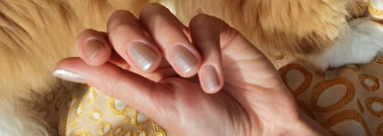 Бабулины жемчуга. Kinetics Knp486 Pearl Glaze