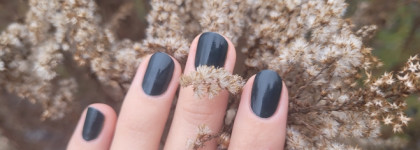 Вердикт: зелёный. Kinetics Knp523