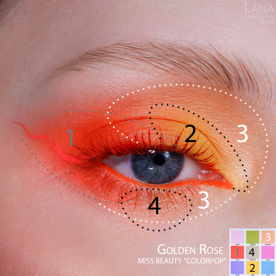 Golden Rose Miss Beauty eyeshadow palette "Colourpop"