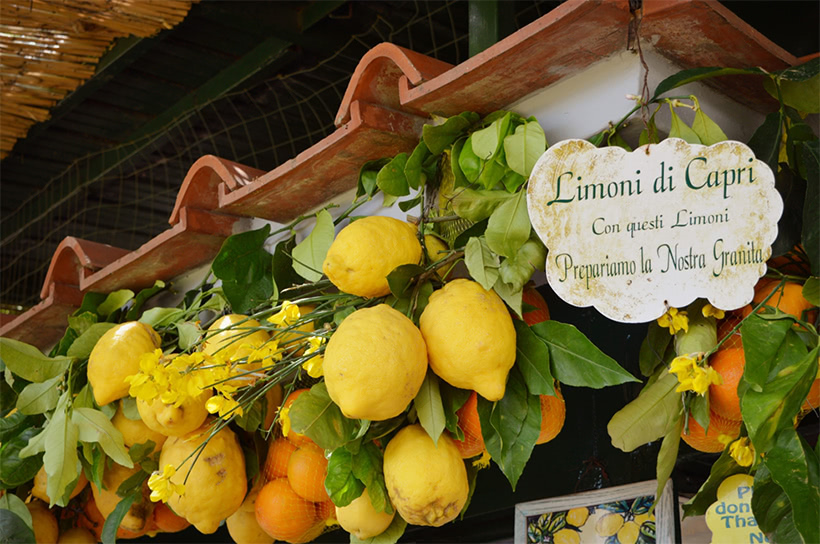 Картинка из интернета - лимоны и апельсины с Капри