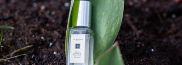 Jo Malone Christmas Cologne Collection. Мое припоздавшее мнение о рождественской пятерке ароматов-лимиток предыдущих лет