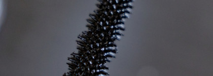 Jeffree Star F*ck Proof Mascara - ужасная на фото и носибельная в жизни