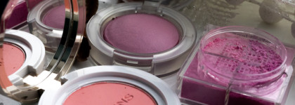 Скромная коллекция холодных люксовых румян