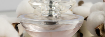 Ирисы и фиалки, общий сбор