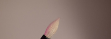 Мои маленькие друзья. Любимые кисти для глаз