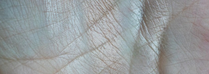 New Nudes: лучшие продукты 2023 для базового макияжа глаз