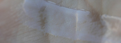 Топ-7 блесков на каждый день