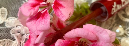 Шоколадно - ягодный, готический и роковой оттенок Lime Crime Velvetines Liquid To Matte Lip Stain Saint