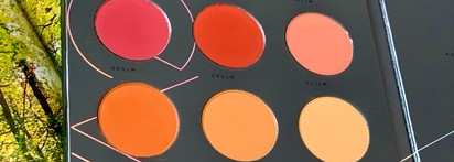 Худшая палетка в моей большой коллекции палеток (более 30 штук) Zoeva Matte spectrum