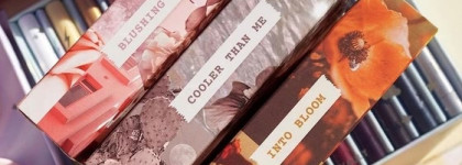 3 новые палетки Colour pop: Big poppy, Cloud blue, Cloud spun