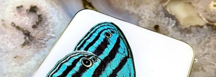 Chantecaille весенняя коллекция с бабочками