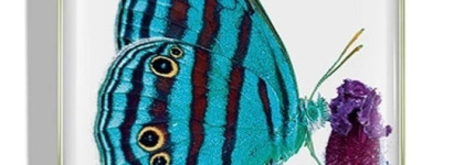 Chantecaille весенняя коллекция с бабочками