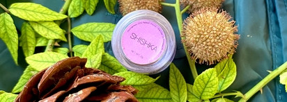 Вот тебе и «Shishka» прямо мишке в лоб - пигмент от ArtMakeup