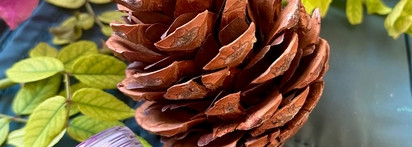 Вот тебе и «Shishka» прямо мишке в лоб - пигмент от ArtMakeup