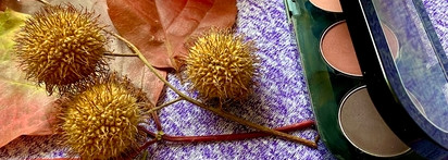 Топ 7 любимых палеток теней в косметическом хозяйстве бьюти-маньяка