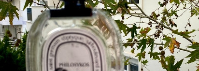 Разочарование/очарование - нужное подчеркнуть Diptyque Philosykos EDT – Туалетная вода