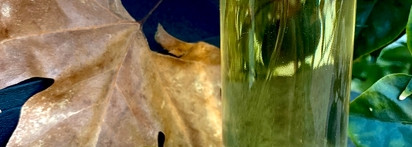 Prada Candy L'Eau EDT