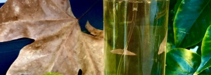 Prada Candy L'Eau EDT