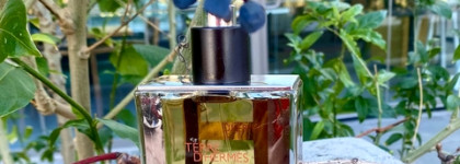 Девочкам тоже можно мужской Terre D’Hermes, который получил награду FiFi Award Fragrance Of The Year Men`s Luxe 2007