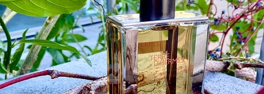 Девочкам тоже можно мужской Terre D’Hermes, который получил награду FiFi Award Fragrance Of The Year Men`s Luxe 2007