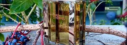 Девочкам тоже можно мужской Terre D’Hermes, который получил награду FiFi Award Fragrance Of The Year Men`s Luxe 2007